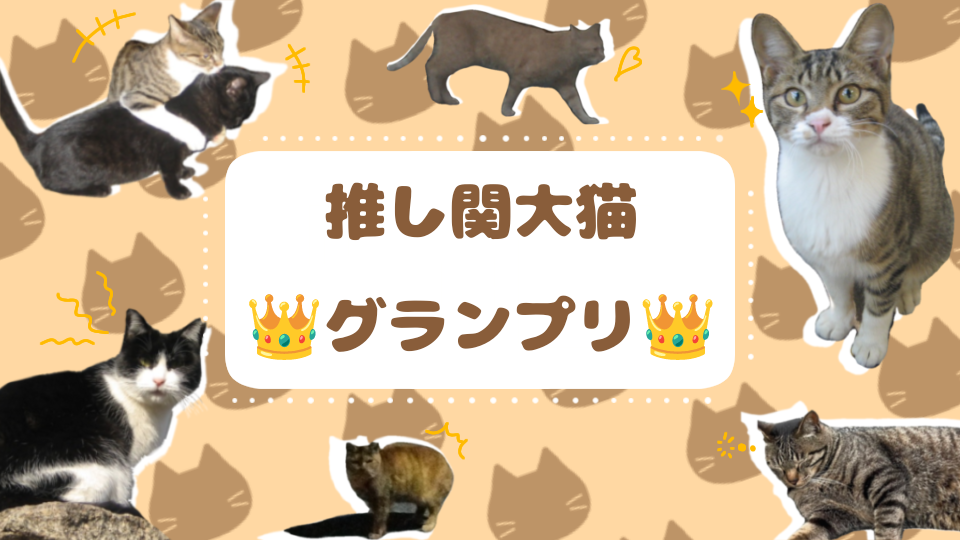 「推し関大猫グランプリ」を開催します！😸